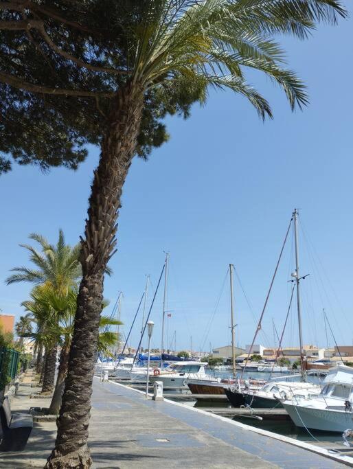 Studio 4 Couchages Avec Piscine D'Ete Vue Port Agde Eksteriør billede