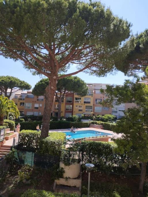 Studio 4 Couchages Avec Piscine D'Ete Vue Port Agde Eksteriør billede